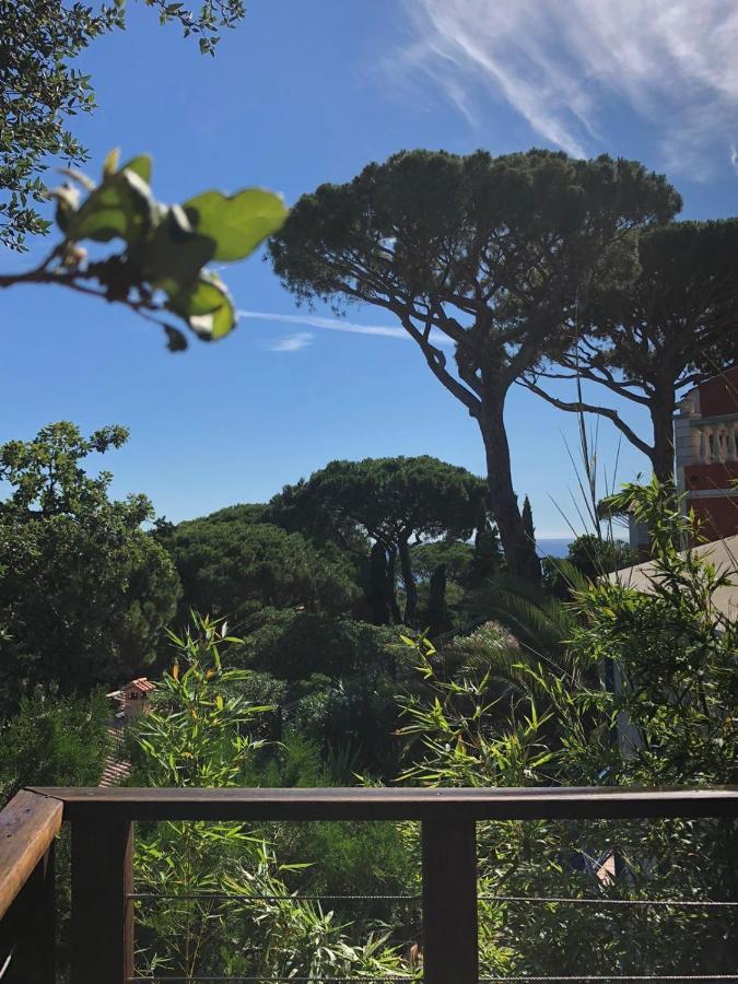 Villa Claire De Lune La Nartelle Sainte-Maxime Dış mekan fotoğraf